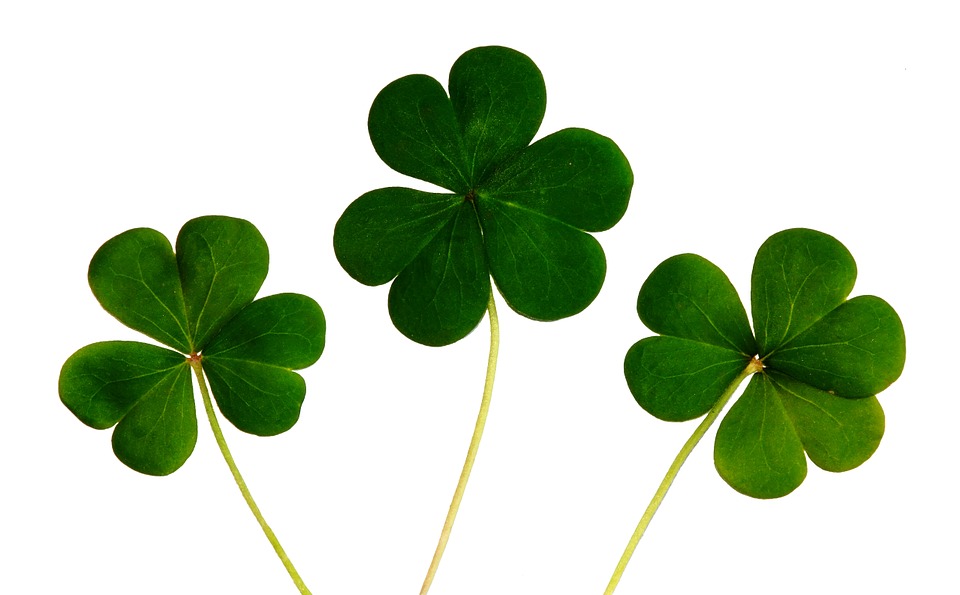 Irlandia poza utartym szlakiem