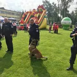 Pies policyjny pomagał uczyć dzieci o bezpieczeństwie podczas pikniku
