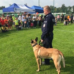 Pies policyjny pomagał uczyć dzieci o bezpieczeństwie podczas pikniku