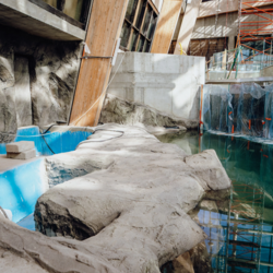 Sosnowieckie Egzotarium coraz bliżej