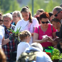 Oficjalne otwarcie parku przy Placu Papieskim oraz koncert "Pamięć i tożsamość" w Sosno