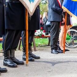 Miejski obchody Święta Niepodległości