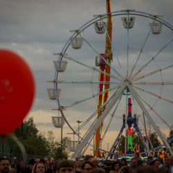 Fun Festival