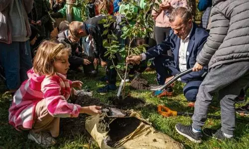 Kilka tysięcy drzew i krzewów – taki będzie jesienny bilans nasadzeń na terenie Sosnowca