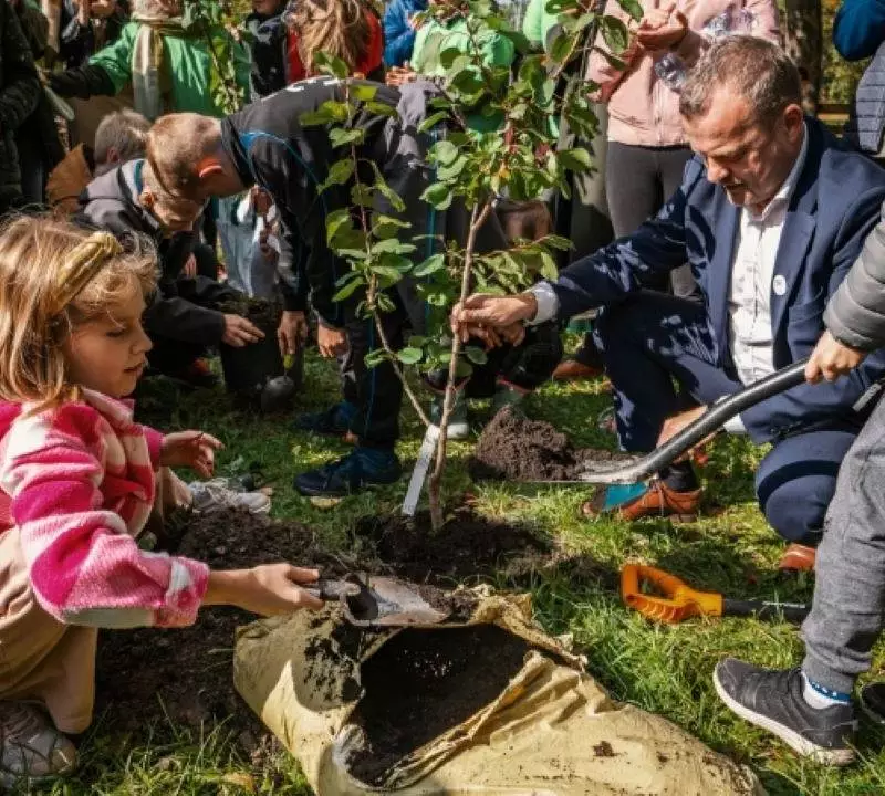 Kilka tysięcy drzew i krzewów – taki będzie jesienny bilans nasadzeń na terenie Sosnowca