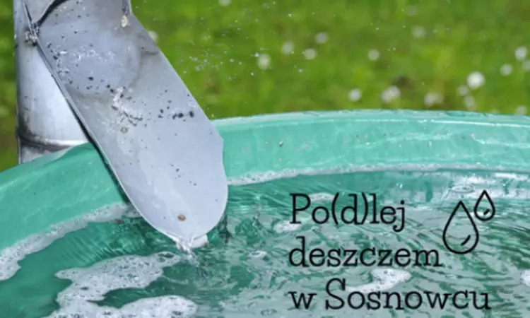 Po(d)lej deszczem w Sosnowcu / fot. UM Sosnowiec