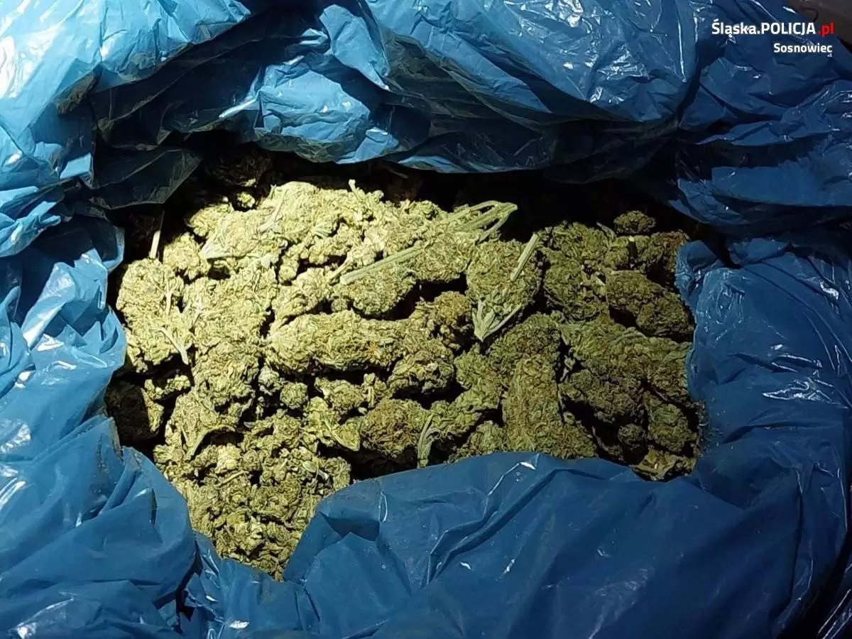 Ponad półtora kilograma narkotyków znalezionych podczas domowej interwencji