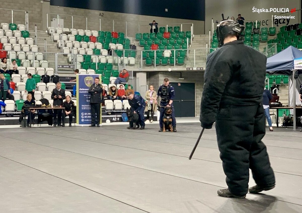 21 marca to pierwszy, dzień kalendarzowej wiosny. Tego dnia SP ZOZ Rejonowe Pogotowie Ratunkowe w Sosnowcu postanowiło zorganizować dla uczniów sosnowieckich szkół Dzień Bezpieczeństwa / fot. KMP Sosnowiec