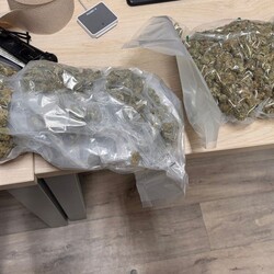 Sosnowieccy wywiadowcy zabezpieczyli ponad 2 kg marihuany