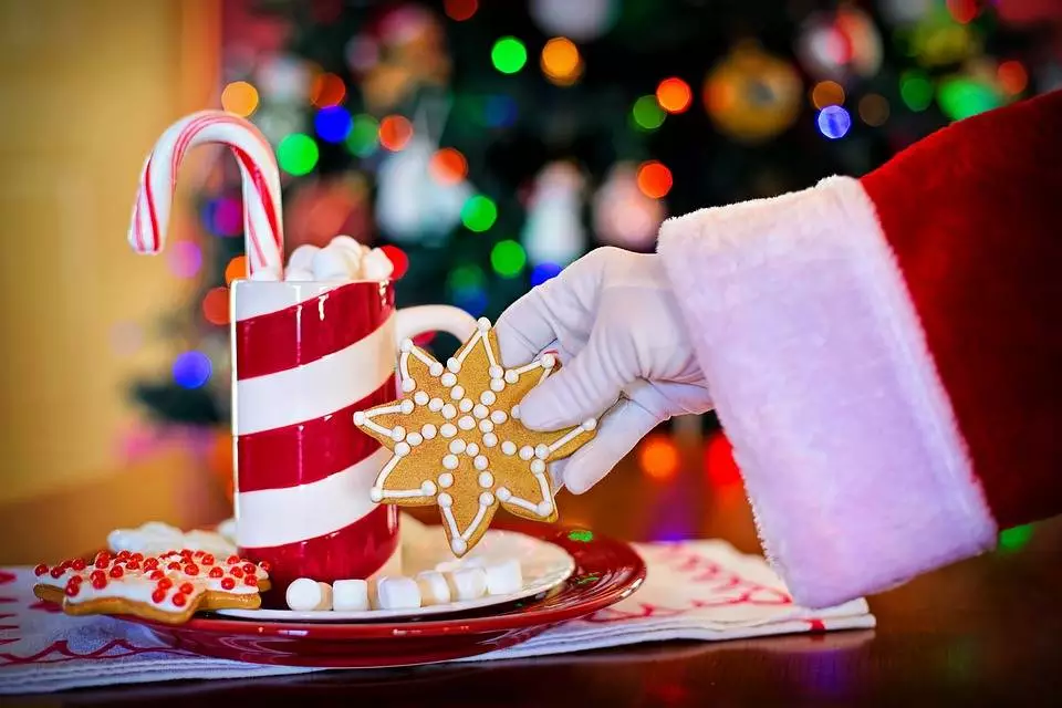 Spotkaj się z Mikołajem. Przedświąteczne spotkanie w Auchan Sosnowiec / fot. Pixabay