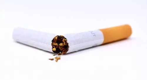 Suczka Sonia w akcji. Niemal 50 kg tytoniu nie trafi na rynek