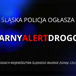 Tragiczny wypadek w Sosnowcu. 26-latek zgin&#261;&#322; na miejscu po uderzeniu w latarni&#281;
