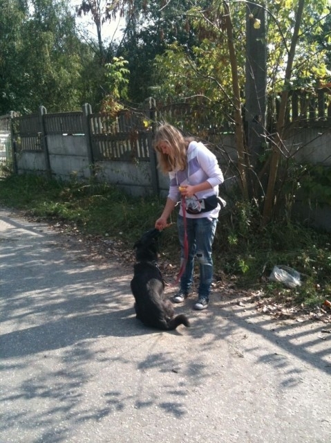 Weso&#322;a &#321;apka pomaga w adopcji psów